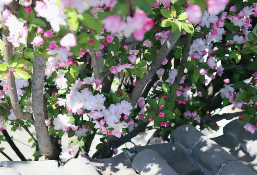 호텔 Peking Garden Boutique