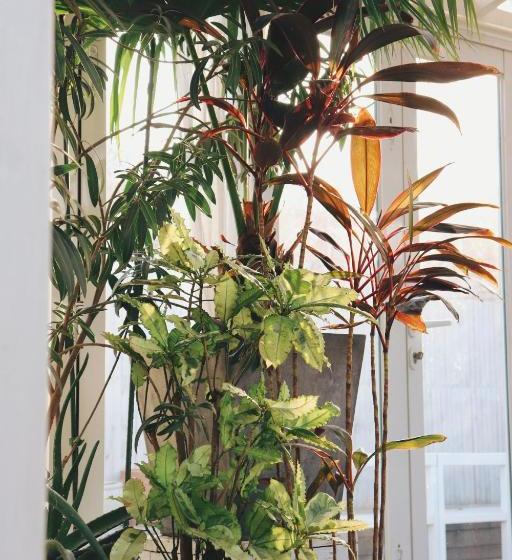 호텔 Peking Garden Boutique