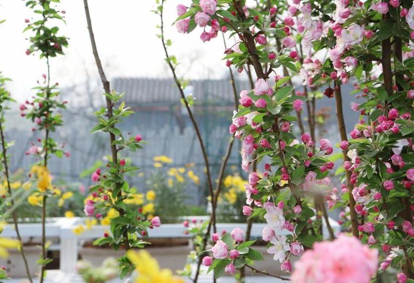 호텔 Peking Garden Boutique