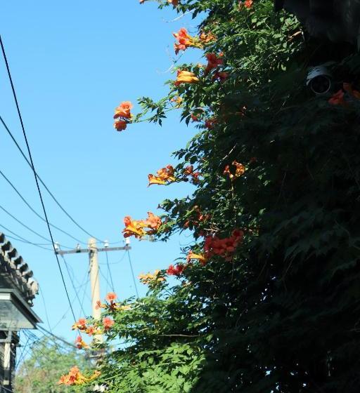 호텔 Peking Garden Boutique