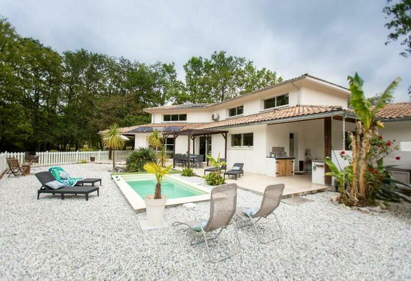 La Villa Minvia Les Landes Entre Mer Et Montagne