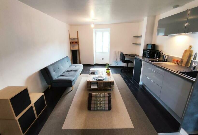 Millau Charmant Studio En Centre Ville