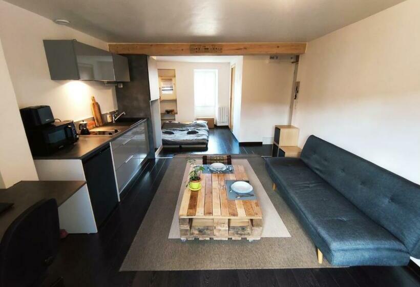 Millau Charmant Studio En Centre Ville