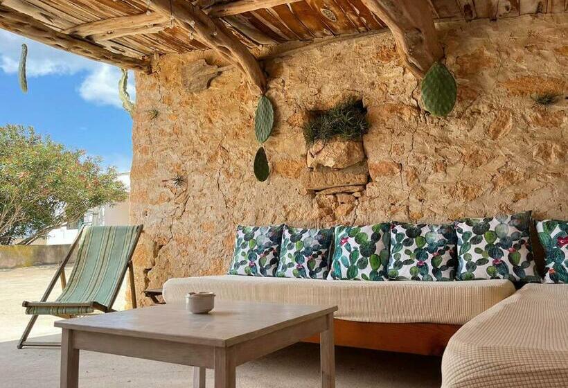 Viviendas Ferrer   Can Joan Andrauet