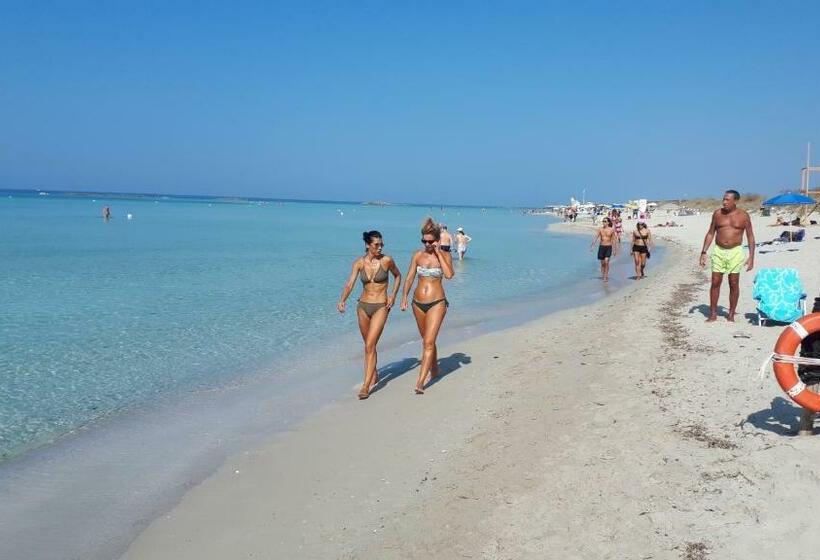 I Tulipani Di Torre Pali