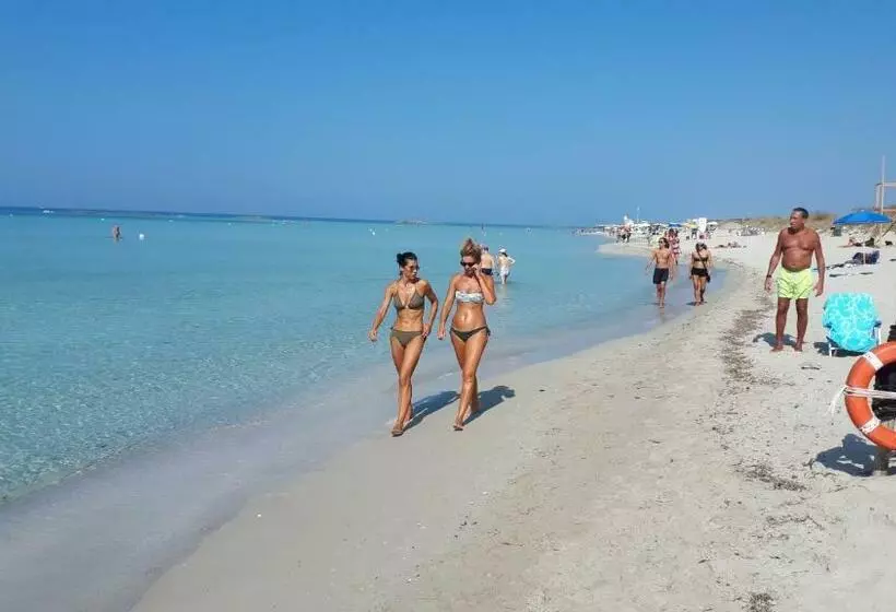 I Tulipani Di Torre Pali