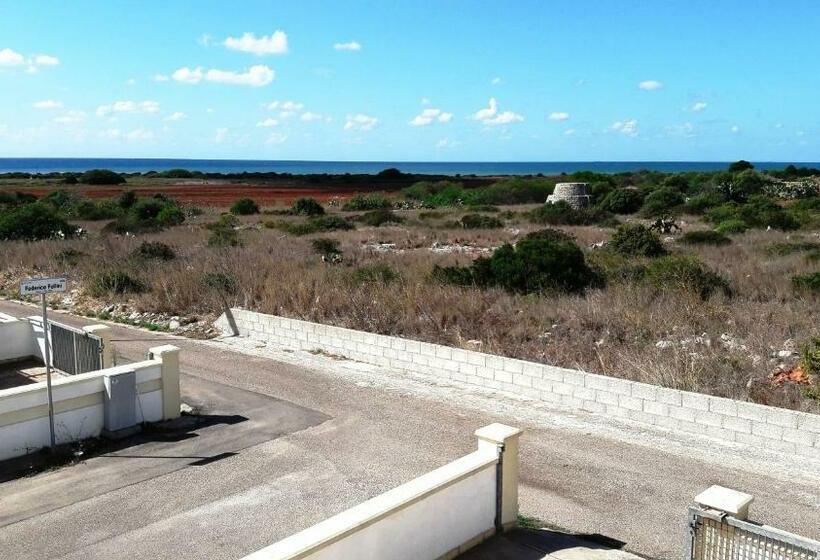 I Tulipani Di Torre Pali