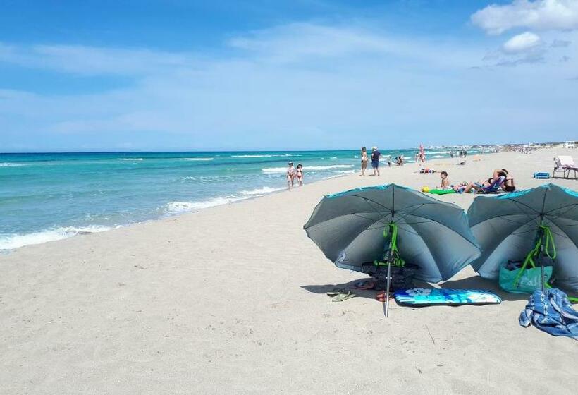 I Tulipani Di Torre Pali