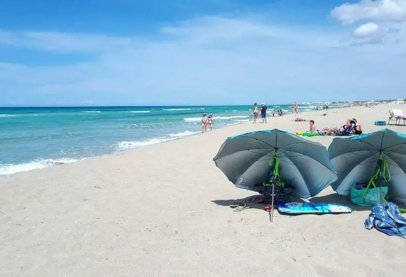 I Tulipani Di Torre Pali