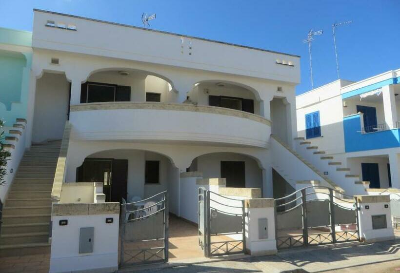 I Tulipani Di Torre Pali