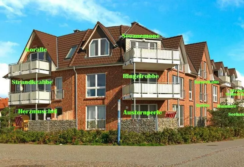 Haus Südwester Knurrhahn