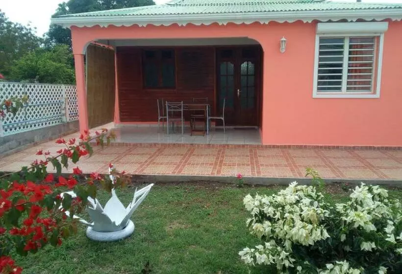 Chez Nounou