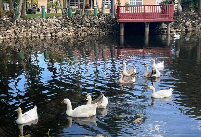 Cozy House 3 Large Bedrooms 3full Bath And King Beds