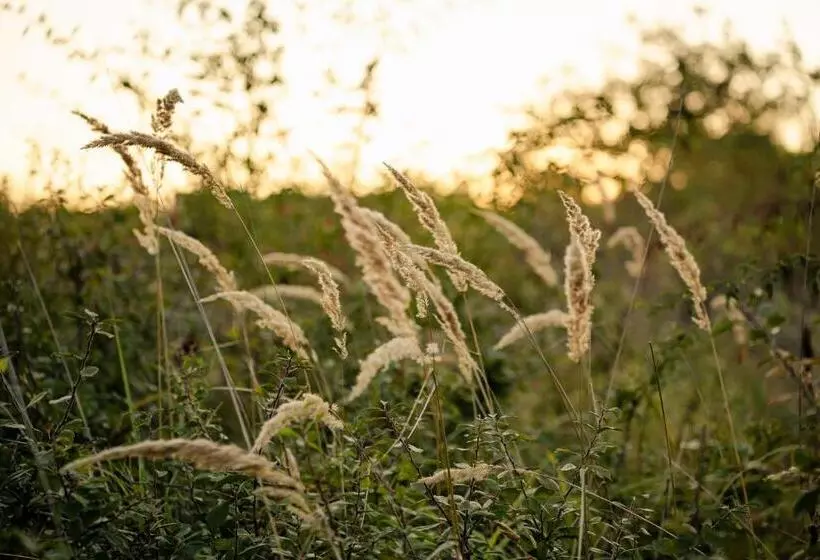 Kotyogó Apartmanok, Bogács