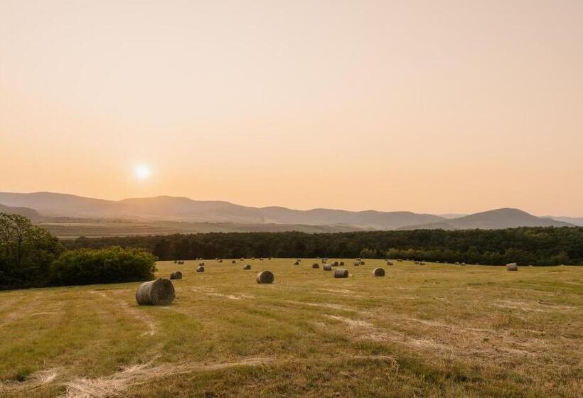Kotyogó Apartmanok, Bogács