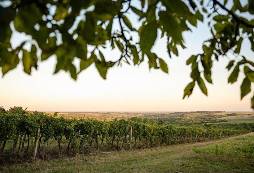 Kotyogó Apartmanok, Bogács