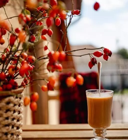 Kotyogó Apartmanok, Bogács