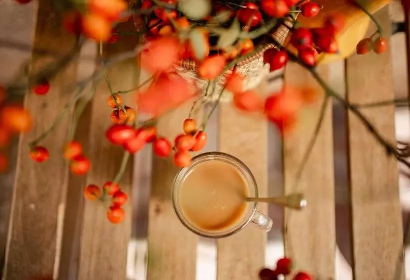 Kotyogó Apartmanok, Bogács