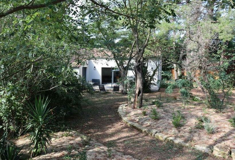 Gîtes Avec Piscine Et Jacuzzi Au Mas De Cadoule