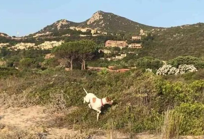 Villa Antonio