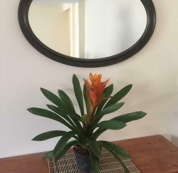 Squareville Subdivision