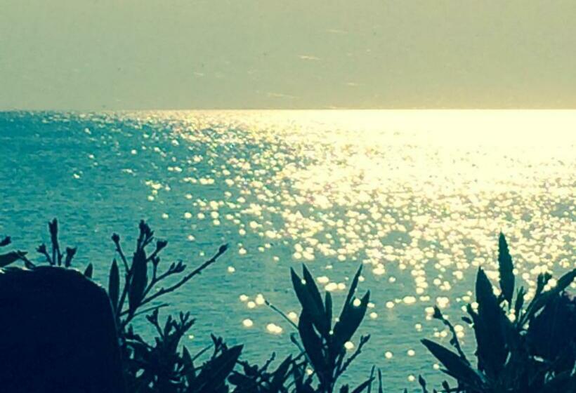 Meine Kleine Sansibar   Charmant Und Elegant, Sauna, Kamin, 600 Qm Grundstück