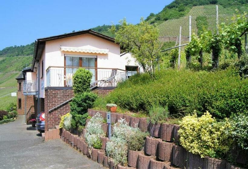 Urlaubsweingut Zecherhof