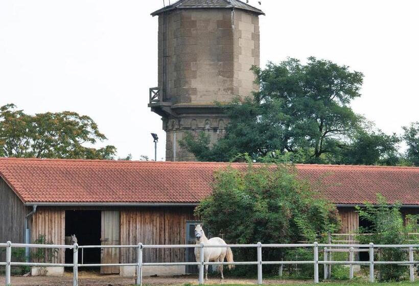 Отель Am Friedrichshof