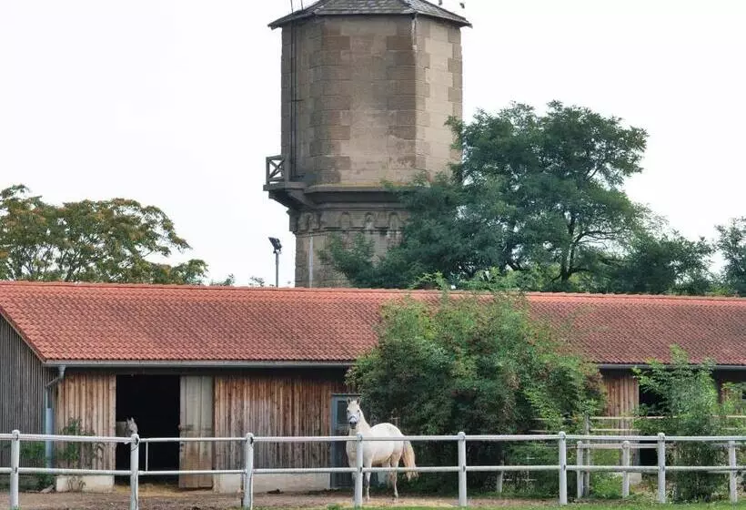 호텔 Am Friedrichshof