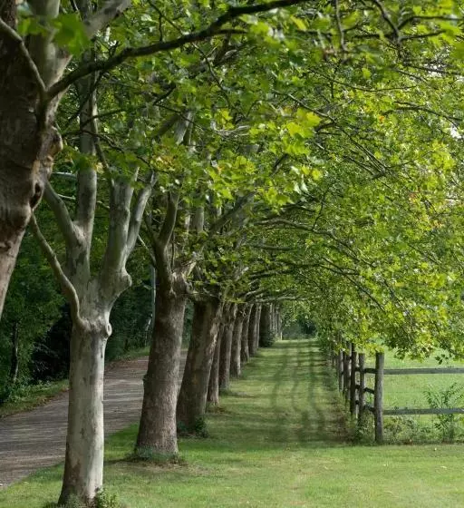 호텔 Am Friedrichshof