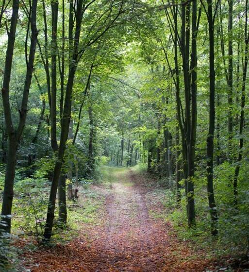 Отель Am Friedrichshof