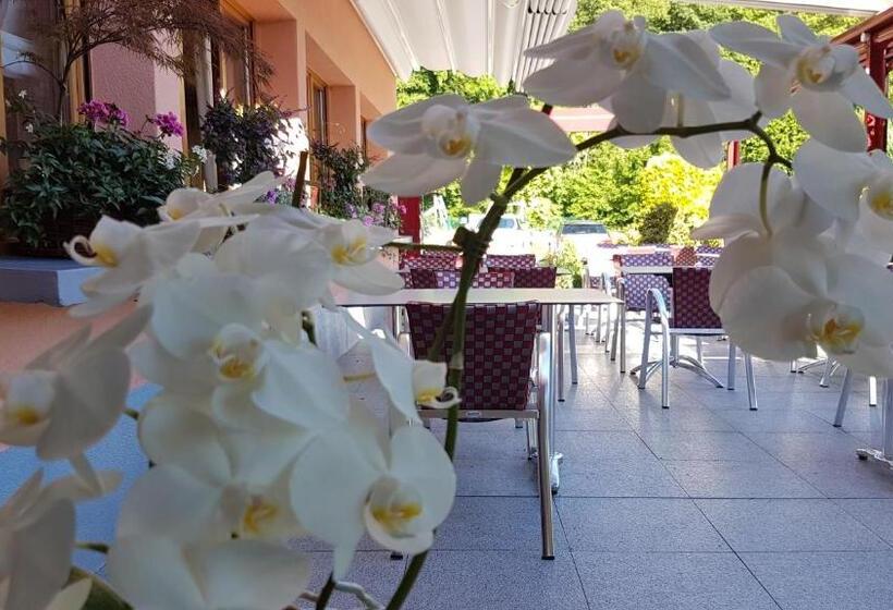 酒店 Le Rhien Hôtel Restaurant