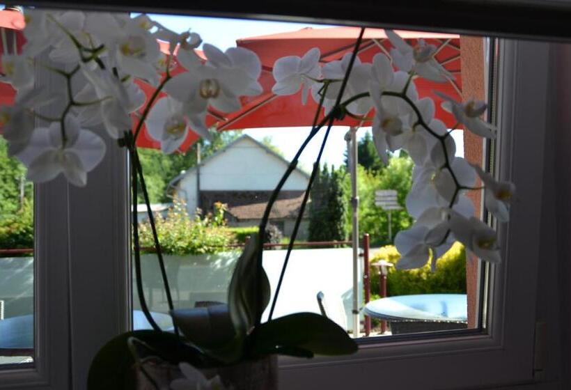 酒店 Le Rhien Hôtel Restaurant