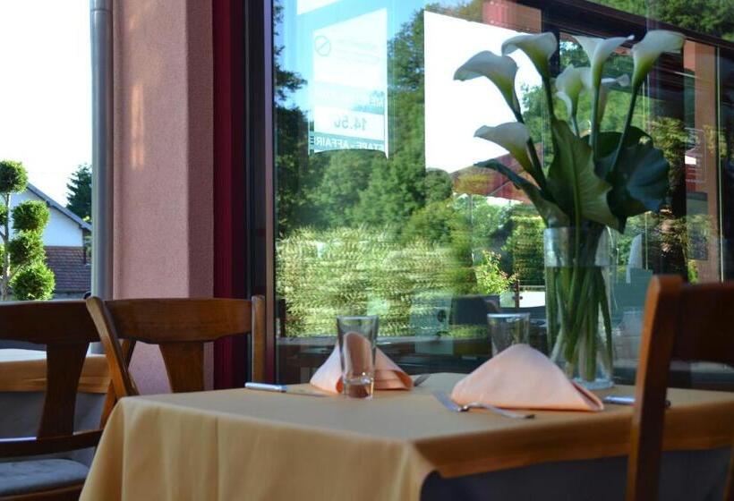 酒店 Le Rhien Hôtel Restaurant