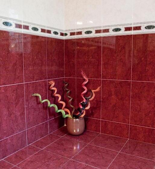 호텔 Pensiunea Vlad