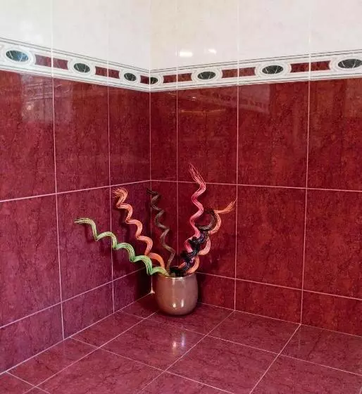 Hotel Pensiunea Vlad