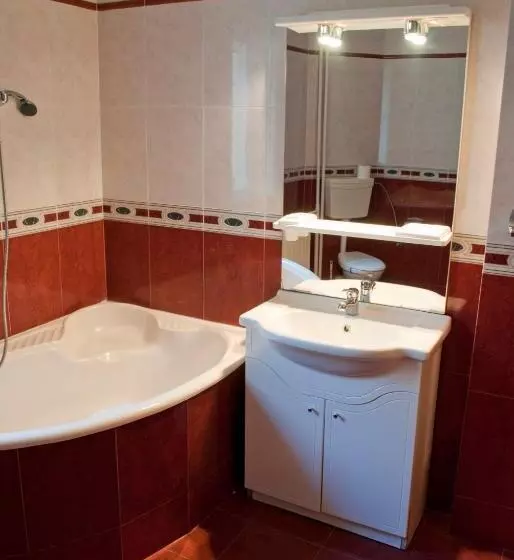 Hotel Pensiunea Vlad