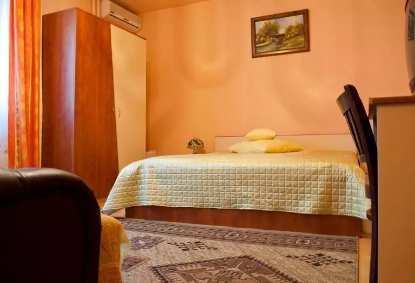 Hotel Pensiunea Vlad