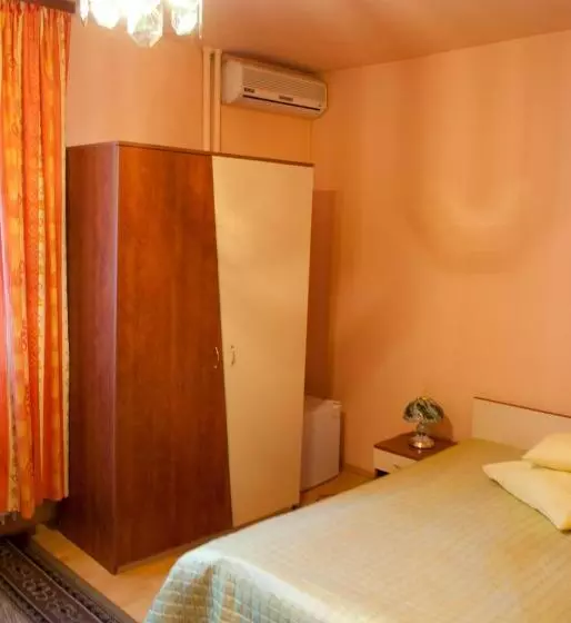 Hotel Pensiunea Vlad