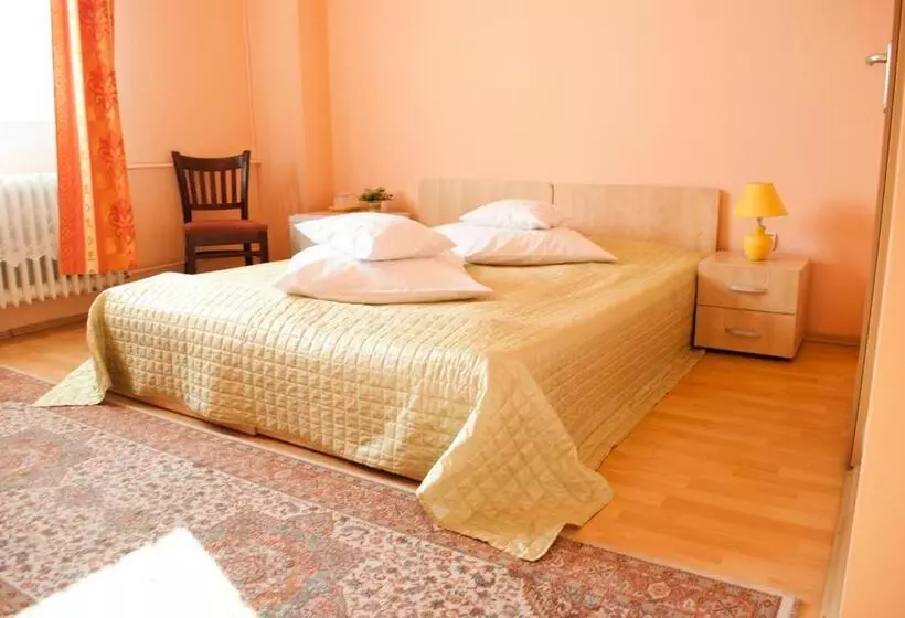 Hotel Pensiunea Vlad