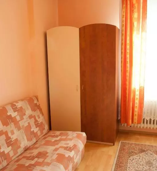 Hotel Pensiunea Vlad