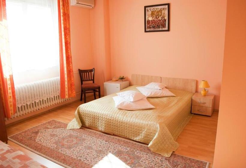 호텔 Pensiunea Vlad