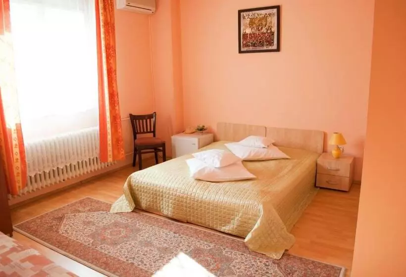 Hotel Pensiunea Vlad