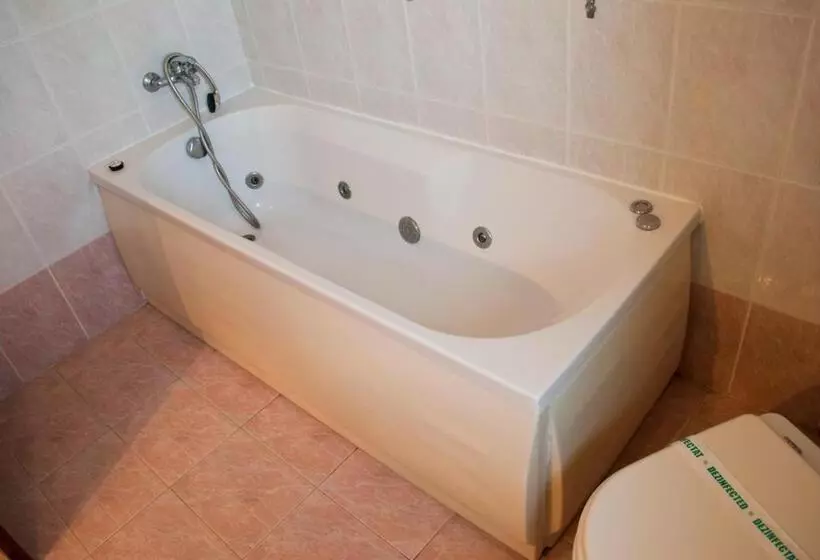 Hotel Pensiunea Vlad