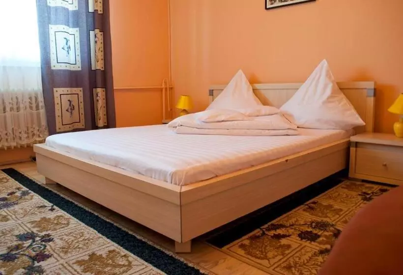 Hotel Pensiunea Vlad