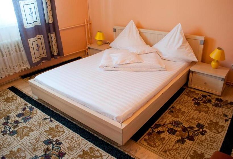 호텔 Pensiunea Vlad