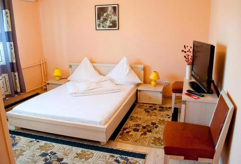Hotel Pensiunea Vlad