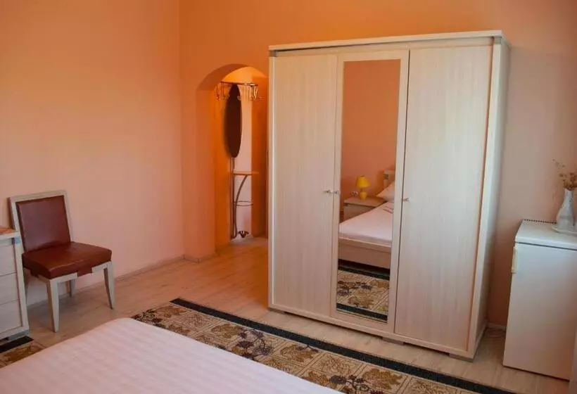 Hotel Pensiunea Vlad