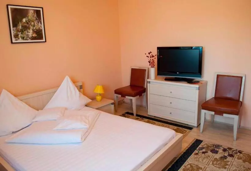 Hotel Pensiunea Vlad