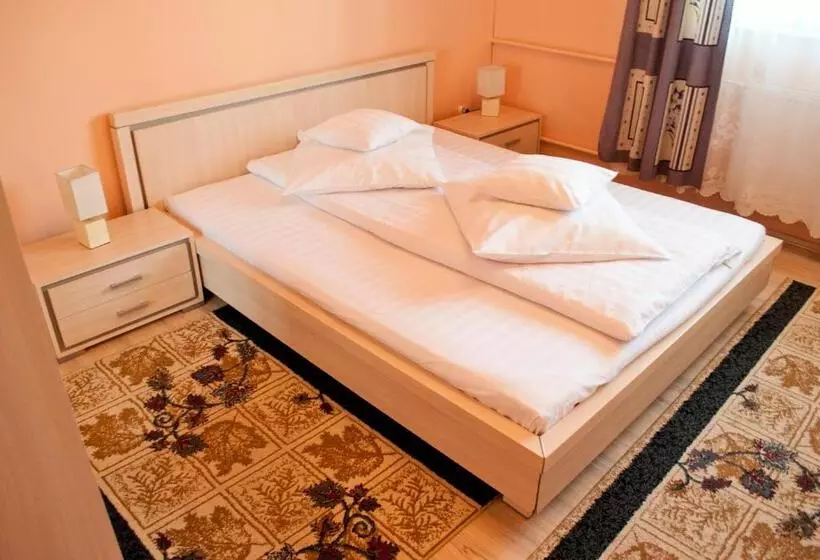 Hotel Pensiunea Vlad
